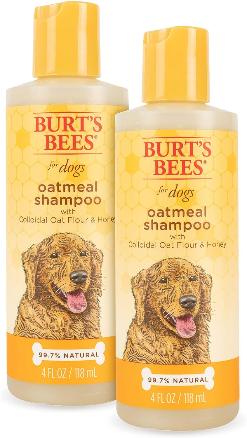 Natural Oatmeal Shampoo with Colloidal Oat Flour and Honey | Oatmeal Dog Shampoo, 1 Gallon | Cruelty Free, Sulfate & Paraben Free, Soothing Dog Shampoo for All Dogs,Beige