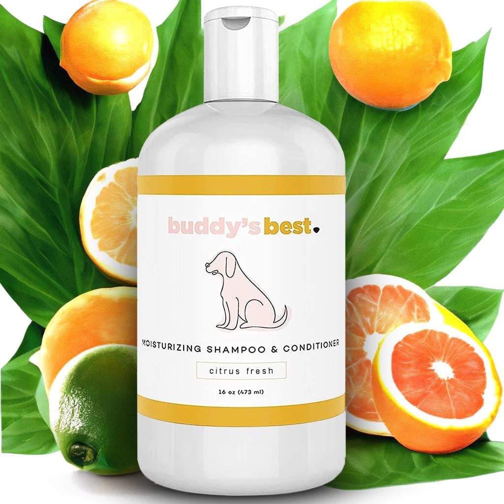 Dog Shampoo for Smelly Dogs - Skin-Friendly, Oatmeal Dog Shampoo and Conditioner for Dry and Sensitive Skin - Moisturizing Puppy Wash Shampoo, Calming Lavender Scent, 16Oz