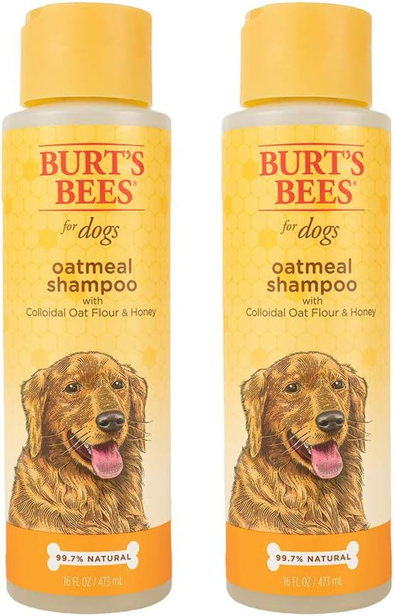 Natural Oatmeal Shampoo with Colloidal Oat Flour and Honey | Oatmeal Dog Shampoo, 1 Gallon | Cruelty Free, Sulfate & Paraben Free, Soothing Dog Shampoo for All Dogs,Beige