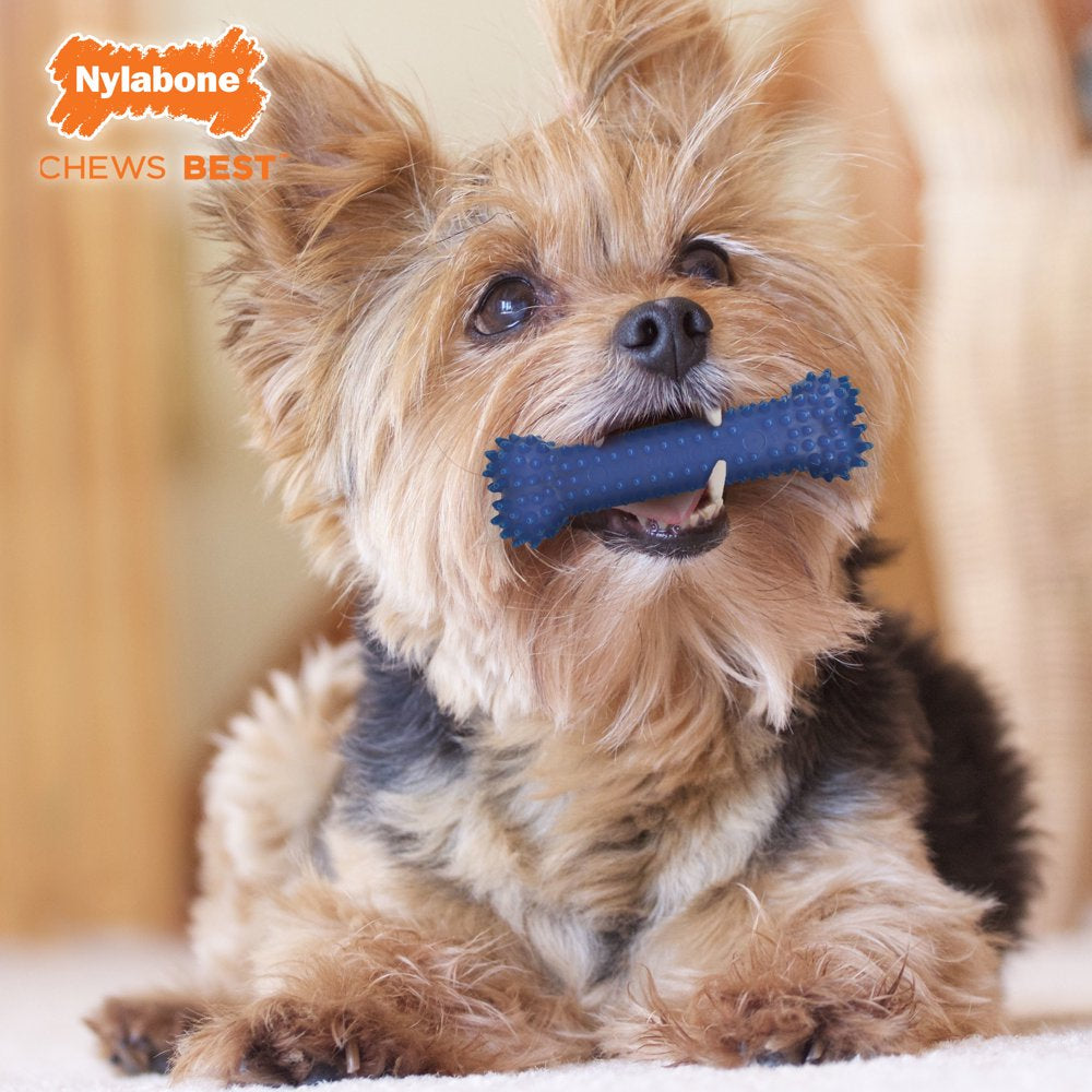 Small Dog Value Pack 3 Count - up to 15 Lbs.