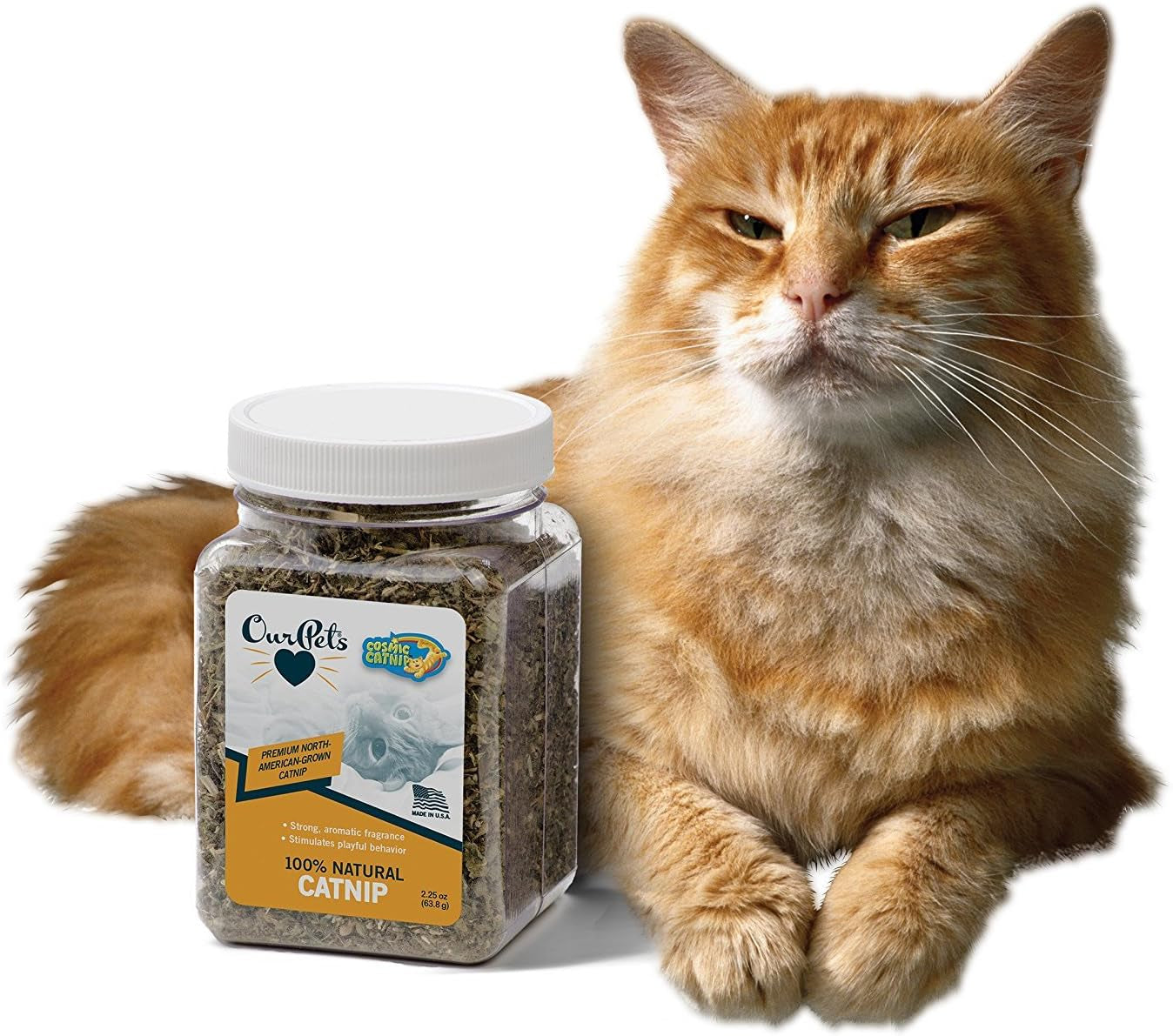 Premium North-American Grown Catnip