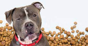 Fur Fun Pet Supply Gift Card