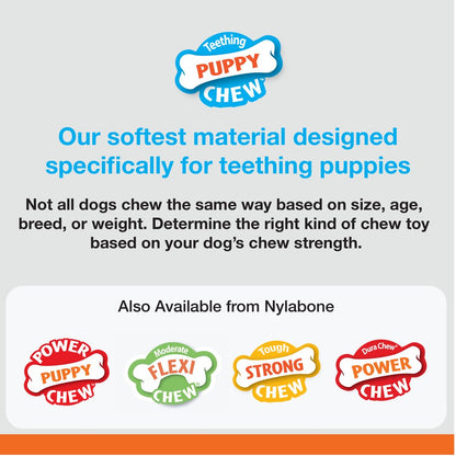 Puppy Chew Toy and Treat Bundle