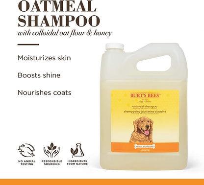 Natural Oatmeal Shampoo with Colloidal Oat Flour and Honey | Oatmeal Dog Shampoo, 1 Gallon | Cruelty Free, Sulfate & Paraben Free, Soothing Dog Shampoo for All Dogs,Beige