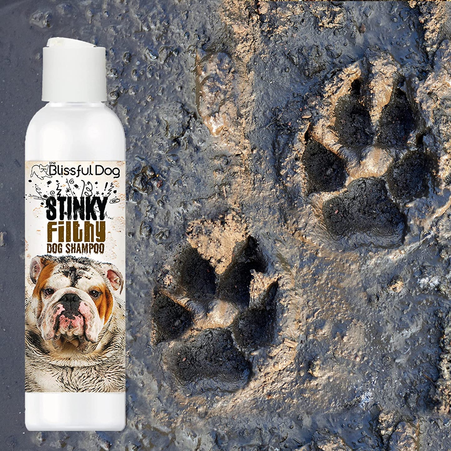Stinky Filthy Dog Shampoo, 16 Oz