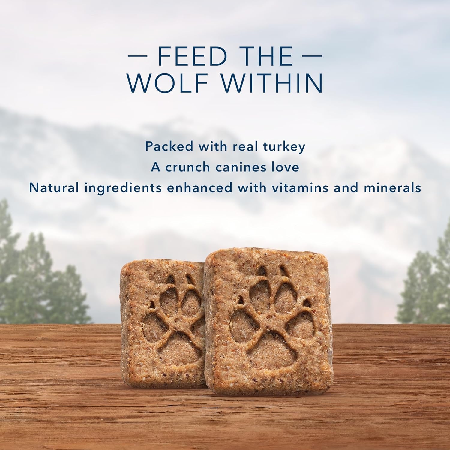 Wilderness Trail Treats High Protein Grain Free Crunchy Dog Treats Biscuits, Turkey Recipe 24-Oz Bag