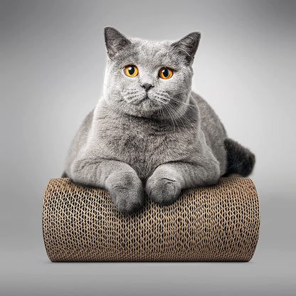 Cat Scratcher Lounge, Reversible Cat Scratching Board, Cardboard Cat Scratcher, Premium Cat Scratch Post, Durable Cat Scratchers, Cat Scratching Bed, Cat Scratching Post (XXL)