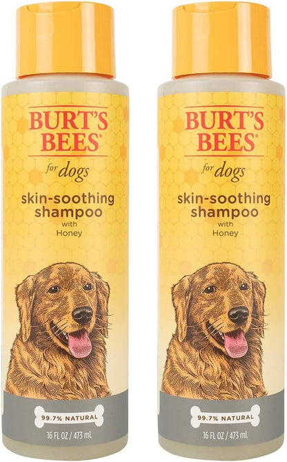 Natural Skin Soothing Shampoo with Honey | Dog Shampoo for All Dogs and Puppies | Safe for Dogs with Dry and Sensitive Skin | Ph Balanced for Dogs - Made in USA, 16 Ounces,Red