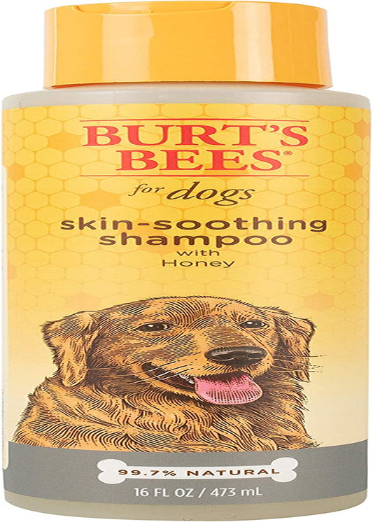Natural Skin Soothing Shampoo with Honey | Dog Shampoo for All Dogs and Puppies | Safe for Dogs with Dry and Sensitive Skin | Ph Balanced for Dogs - Made in USA, 16 Ounces,Red