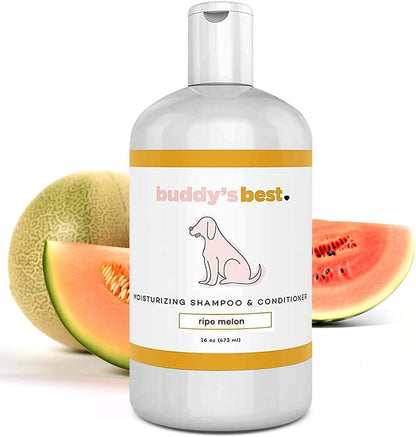 Dog Shampoo for Smelly Dogs - Skin-Friendly, Oatmeal Dog Shampoo and Conditioner for Dry and Sensitive Skin - Moisturizing Puppy Wash Shampoo, Calming Lavender Scent, 16Oz