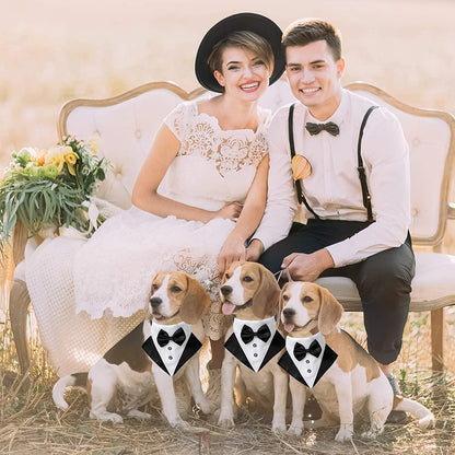 Formal Dog Tuxedo Wedding Dog Bandana Collar Dog Collar with Bow Tie Adjustable Dog Bowtie Collar Bandana for Medium Large Dog Pet (Large, Black&White)
